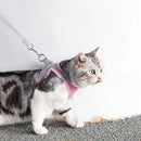 Peitoral Ajustável com Guia para Gatos