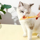 Colher Espremedora de Sachês para Gatos