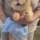 Luva de Microfibra para Banhos em Gatos