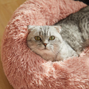Caminha Nuvem para Pets