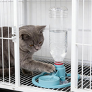 Bebedouro com Encaixe para Garrafas PET