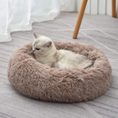 Caminha Nuvem para Pets