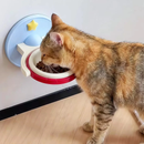 Comedouro Elevado 2 em 1 para Gatos
