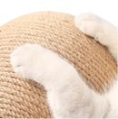 Arranhador Bola para Gatos