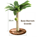 Arranhador Palmeira para Gatos