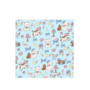 Pano Mágico de Embrulho para Gatos