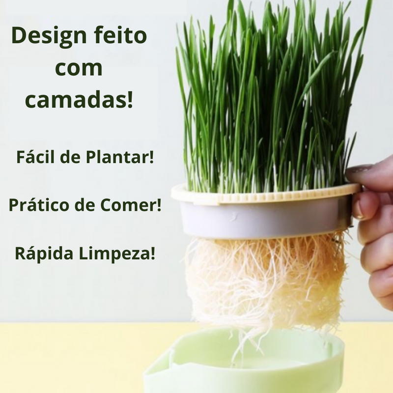 Vaso de Plantas para Gatos