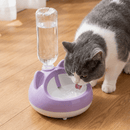Bebedouro por Gravidade para Gatos