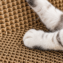 Arranhador Oval de Papelão para Gatos