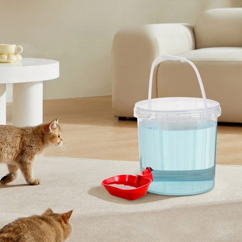 Balde com Dispenser para Hidratação de Gatos