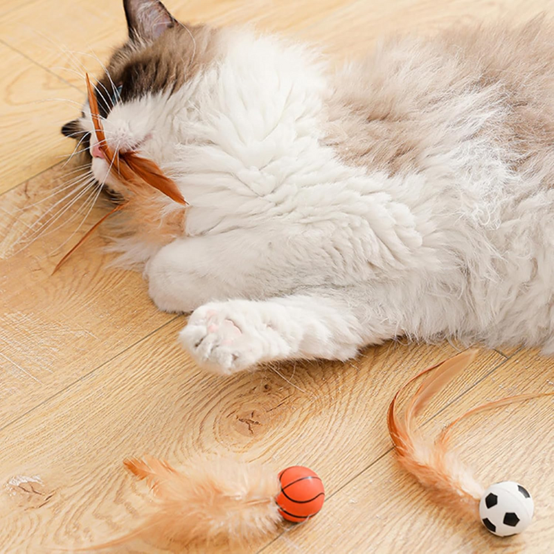 Brinquedo Bolinha de Borracha com Penas para Gatos