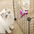 Bebedouro Suspenso para Pets