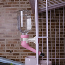 Bebedouro Suspenso para Pets