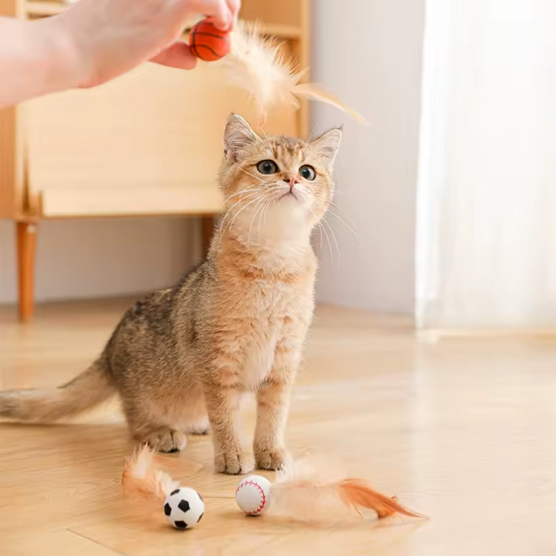 Brinquedo Bolinha de Borracha com Penas para Gatos