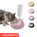 Bebedouro por Gravidade para Gatos