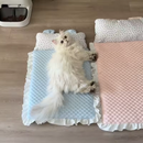 Colchão com Orelhinhas para Gatos
