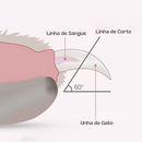 Cortador de Unhas LED para Gatos