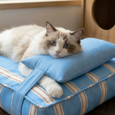 Caminha Confortável com Travesseiro para Gatos