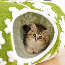 Cama Túnel de Natal para Gatos