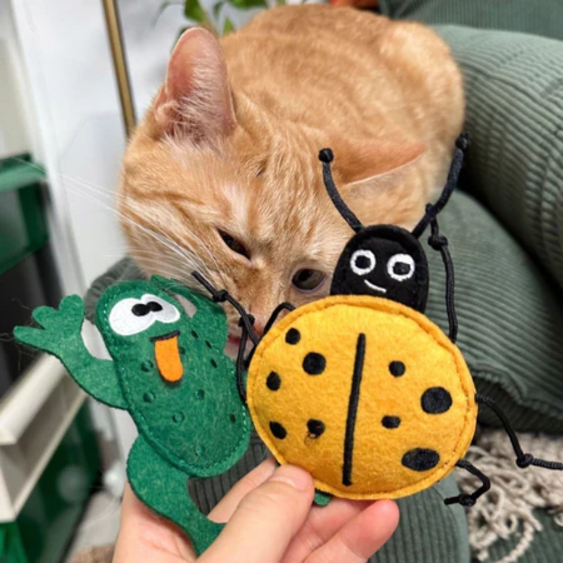 Brinquedo Inseto Gigante de Pelúcia com Catnip para Gatos