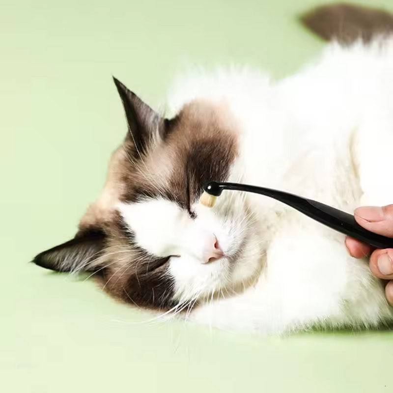 Kit Escova + Pó Removedor de Manchas para Gatos