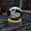 Luminária 3D Personalizável - Com a Foto do seu Gato