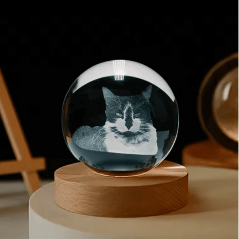 Luminária 3D Personalizável - Com a Foto do seu Gato