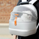 Mochila de Passeio Transpirável para Gatos