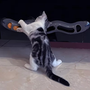 Brinquedo Pista de Bolinhas com Ventosas para Gatos