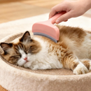 Escova para Remoção de Pelos de Gatos