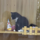 Brinquedo João Bobo para Gatos