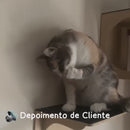 Playground para Gatos 8 Peças