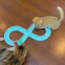 Brinquedo Pista Desmontável para Pets