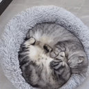 Caminha Nuvem para Pets