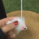 Massageador Arco para Gatos