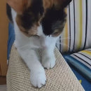 Protetor de Móveis Arranhável para Gatos