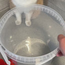 Balde com Dispenser para Hidratação de Gatos