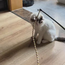 Brinquedo Varinha Interativa com Corda para Gatos