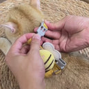 Peitoral Abelhinha com Coleira para Pets