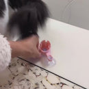 Bebedouro com Encaixe para Garrafas PET