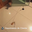 Brinquedo Vara com Ventosa para Gatos