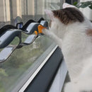 Brinquedo Pista de Bolinhas com Ventosas para Gatos