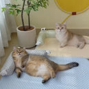 Tapete Respirável de Descanso para Pets