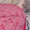 Kit Bola Interativa com Tapete para Pets