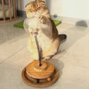 Comedouro de Madeira para Petiscos para Pets