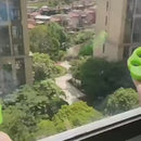 Absorve Pelos Reutilizável