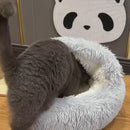 Cama Peludinha de Inverno para Gatos