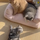 Sofá Pet Luxo de Pelúcia