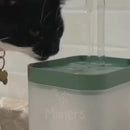 Bebedouro Torneira com Filtro para Gatos