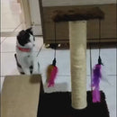 Arranhador Poste com Rampa para Gatos